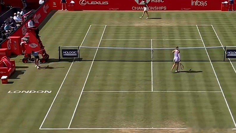 郑钦文本命年开启新赛季马年本命年，这不是一匹普通的马 