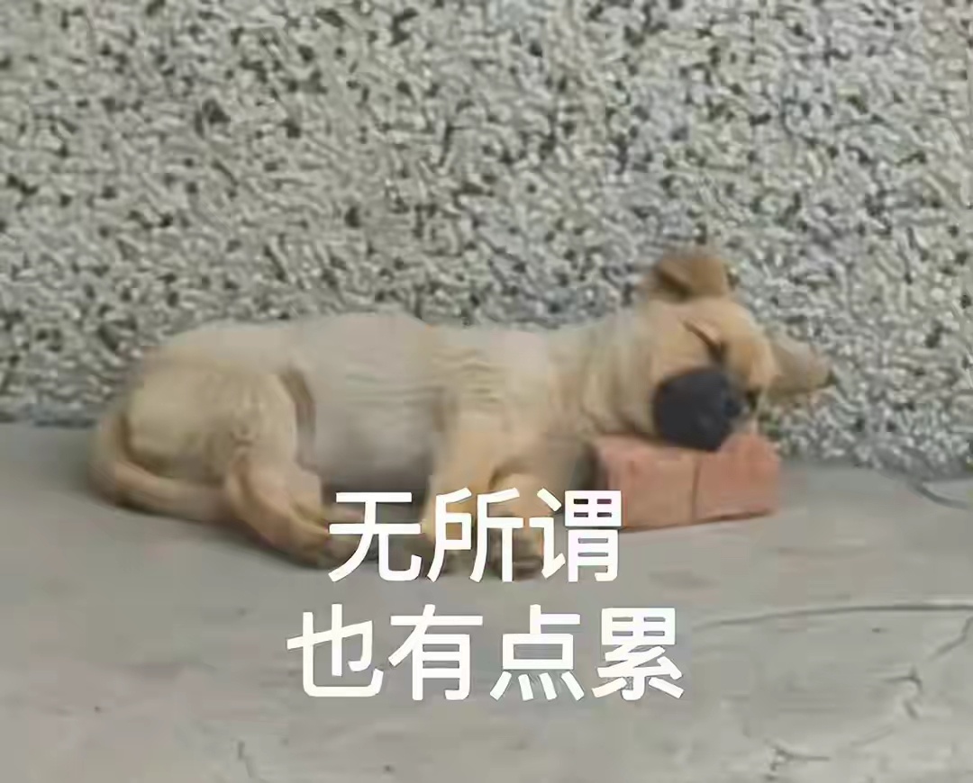 金饰克价涨至1708元无所谓了，随便涨吧，反正早就买不起了