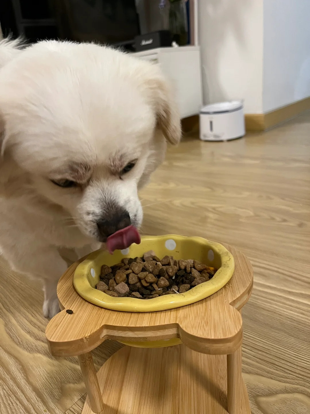 老母亲狂喜 ！这次选对粮了！