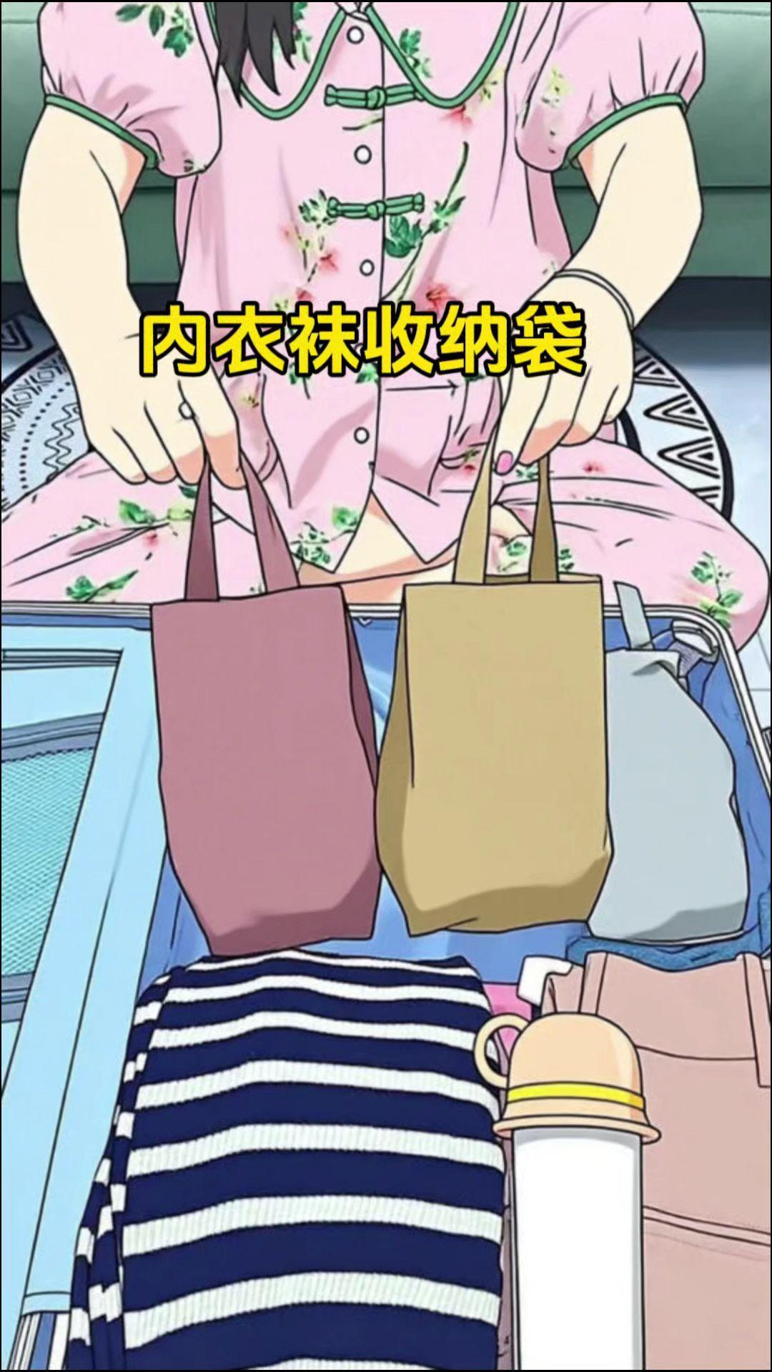 便携收纳袋内衣内裤袜子收纳袋收纳袋
