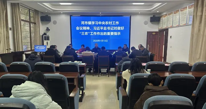 河市镇认真学习贯彻习近平总书记对做好“三农”工作的重要指示精神