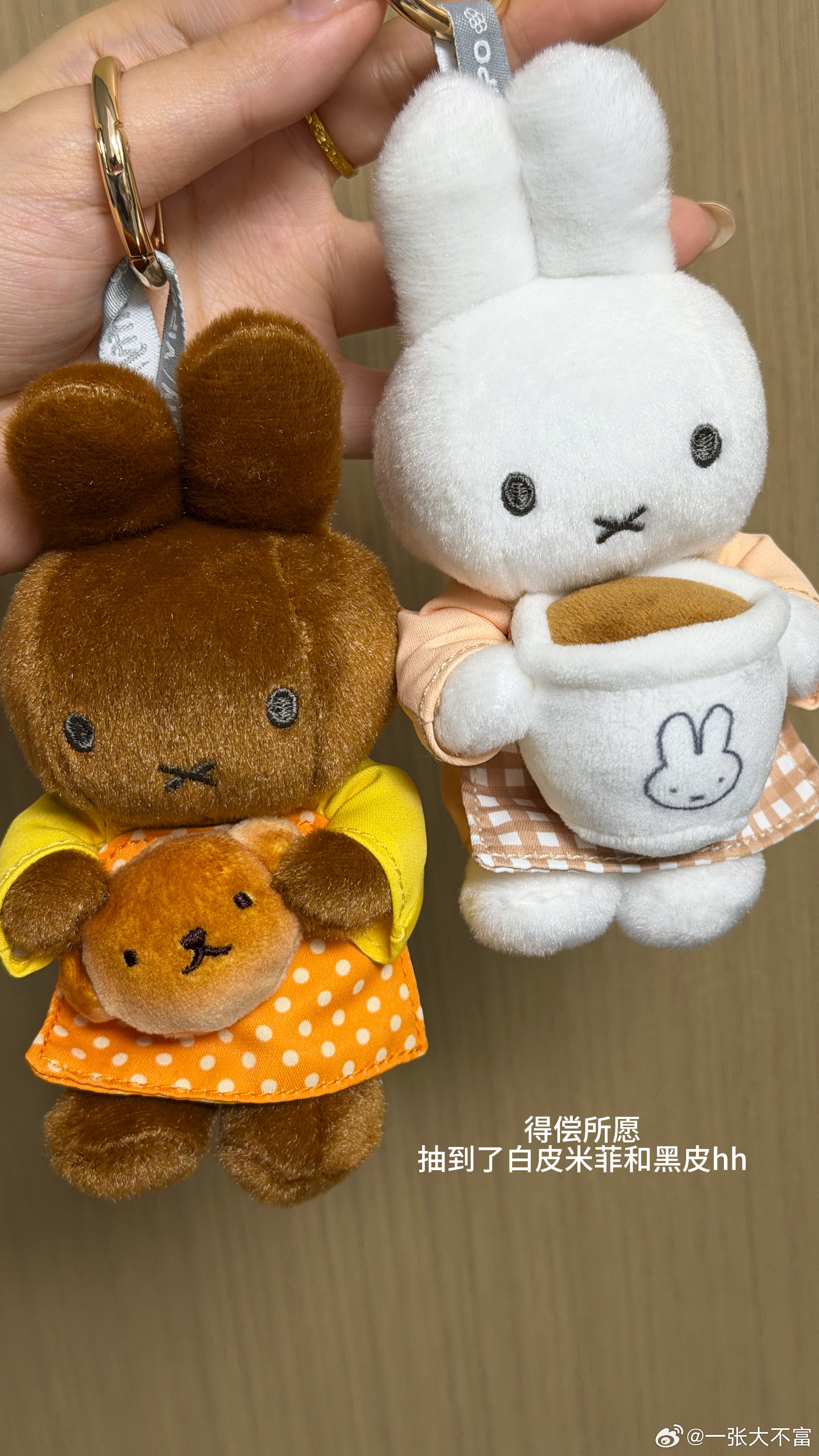plog ⌯'ㅅ'⌯好物种草永无止境... 