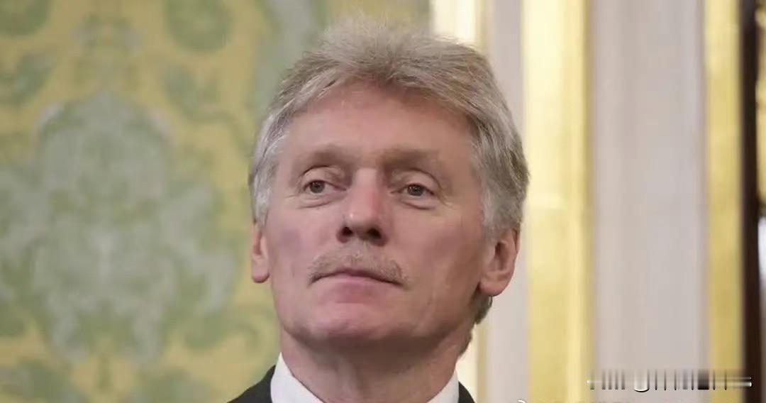 克里姆林宫：乌克兰必须从顿巴斯撤军

莫斯科，12月29日（路透社）——乌克兰必