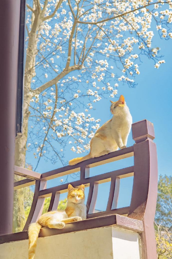 对《人民日报》里印象深刻的一段话:“好的生活不是拼命透支，而是款款而行。当我们被