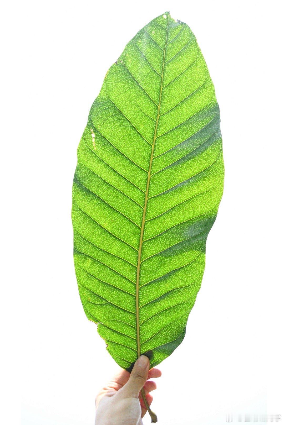 兴致勃勃的打开一本译制书，然后看完一些专家写推荐和前言，太无聊了，看完精神都要枯