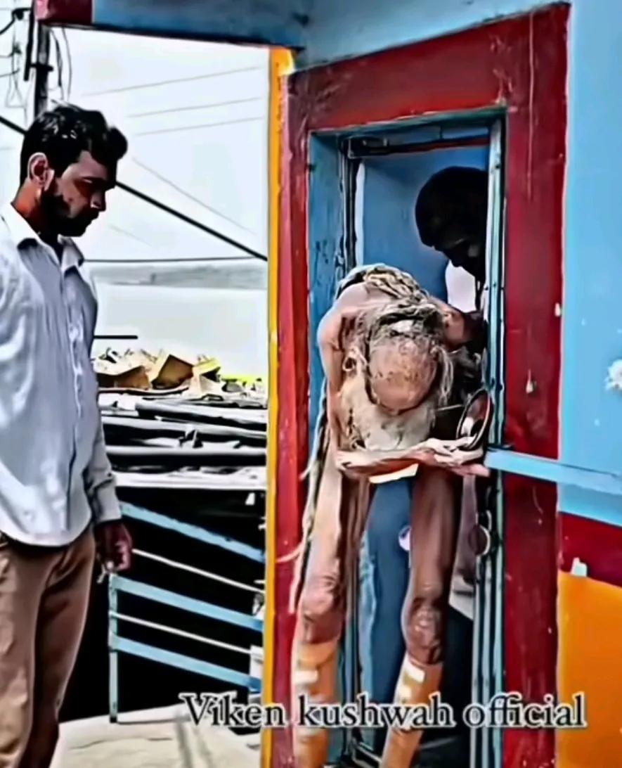 印度这位瘦骨嶙峋，弯腰驼背，双腿修长的老人已经200岁了。真的很羡慕啊！据说，如