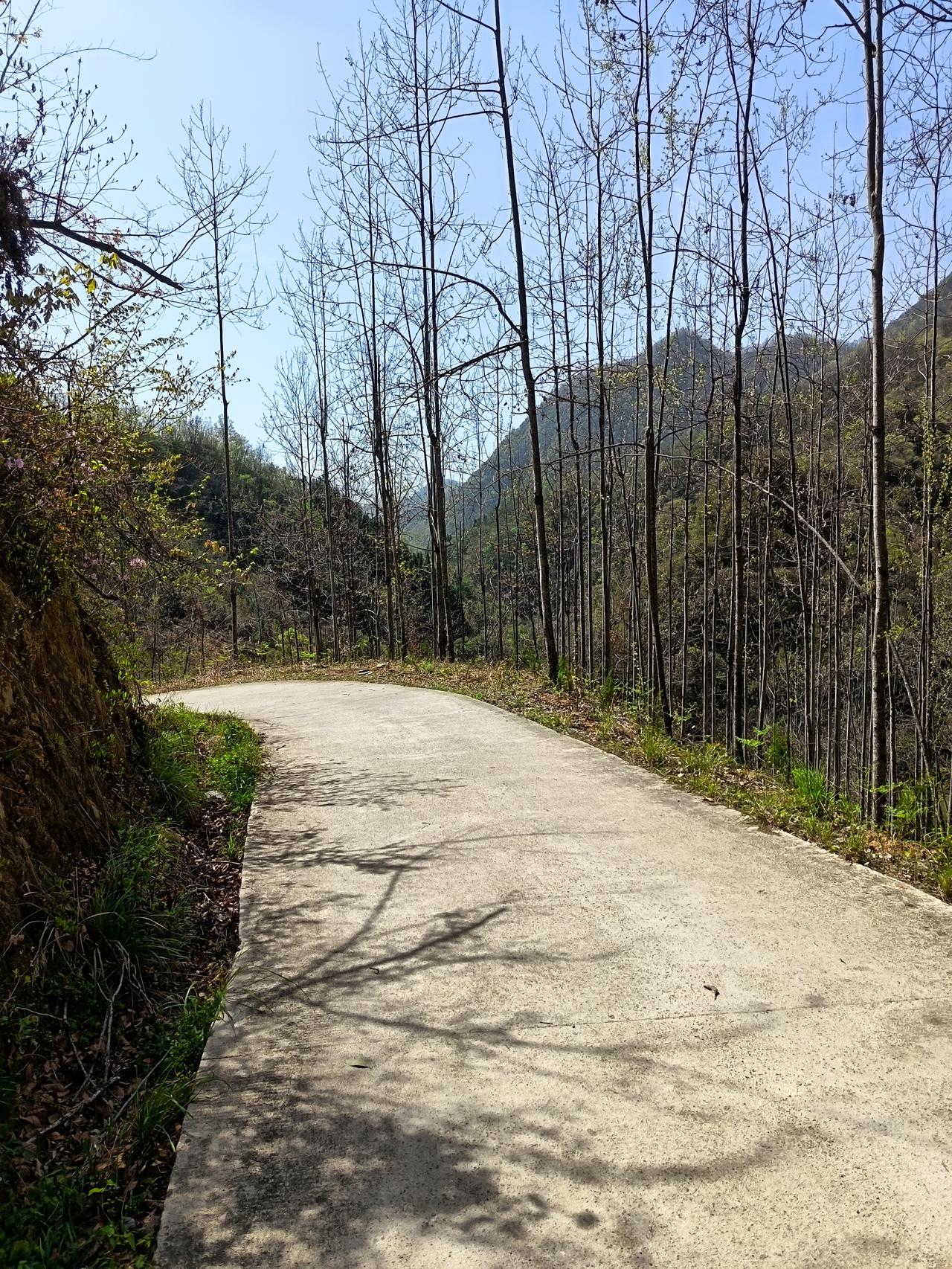 清明漫步于秦岭山中
一
崇山峻岭沟壑幽，
一山方过一山酬。
举足直道丈余远，
伸
