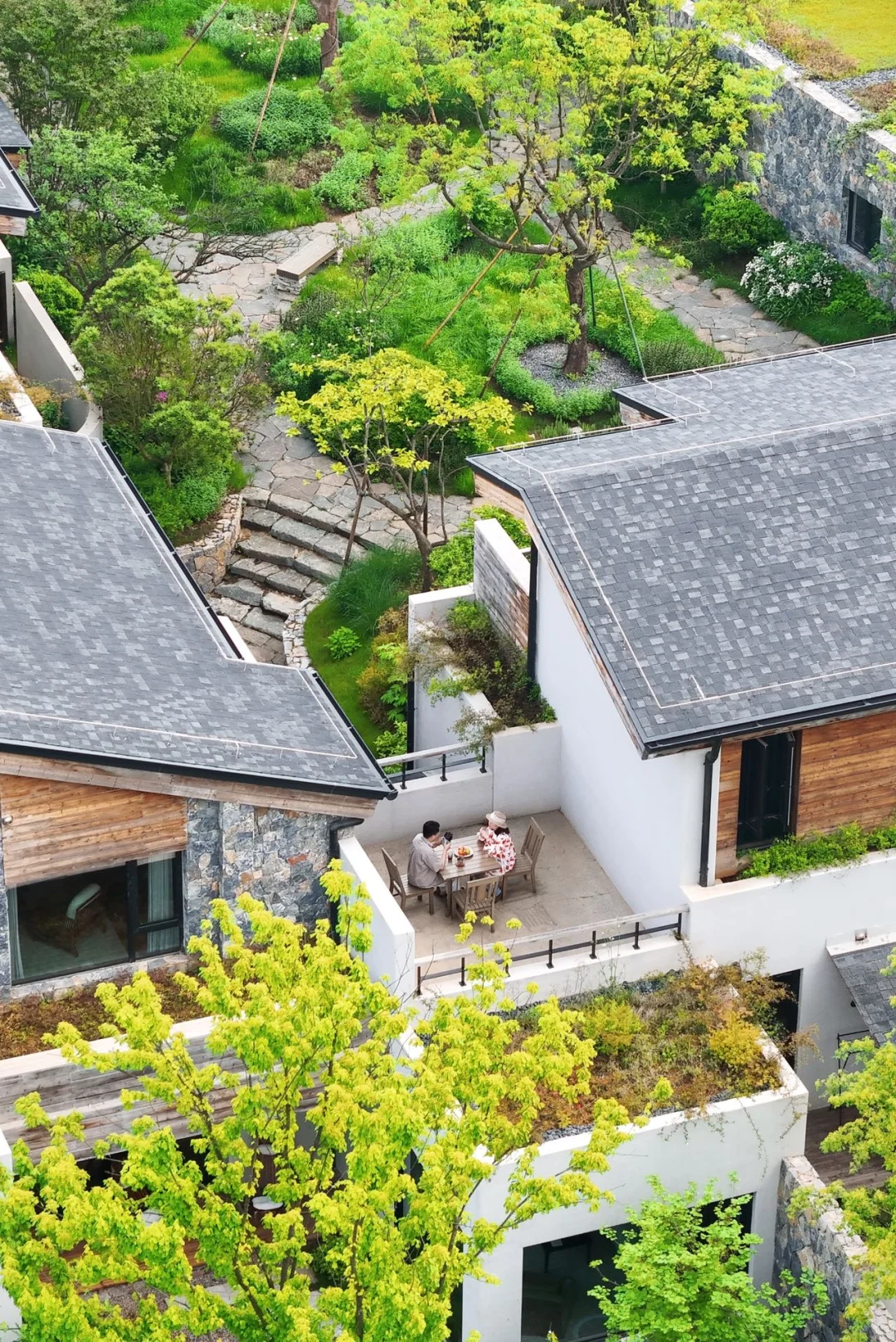 武汉1H‼️躲进谢柯的竹林庭院，每帧都像电影