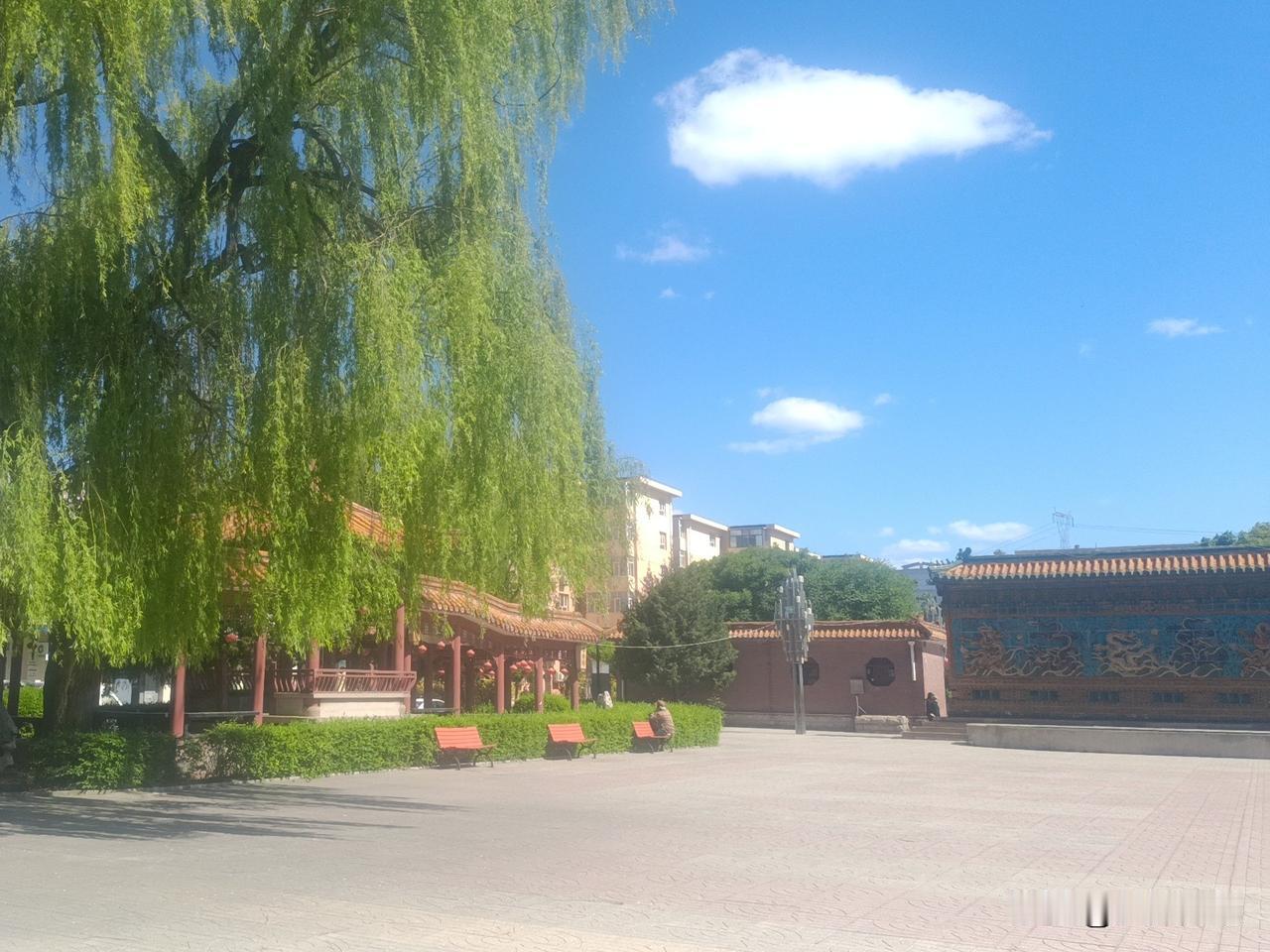 红漆长廊带着古色古香的韵味，旁边的大柳树也长得枝繁叶茂，把长廊都衬得特别有生机。