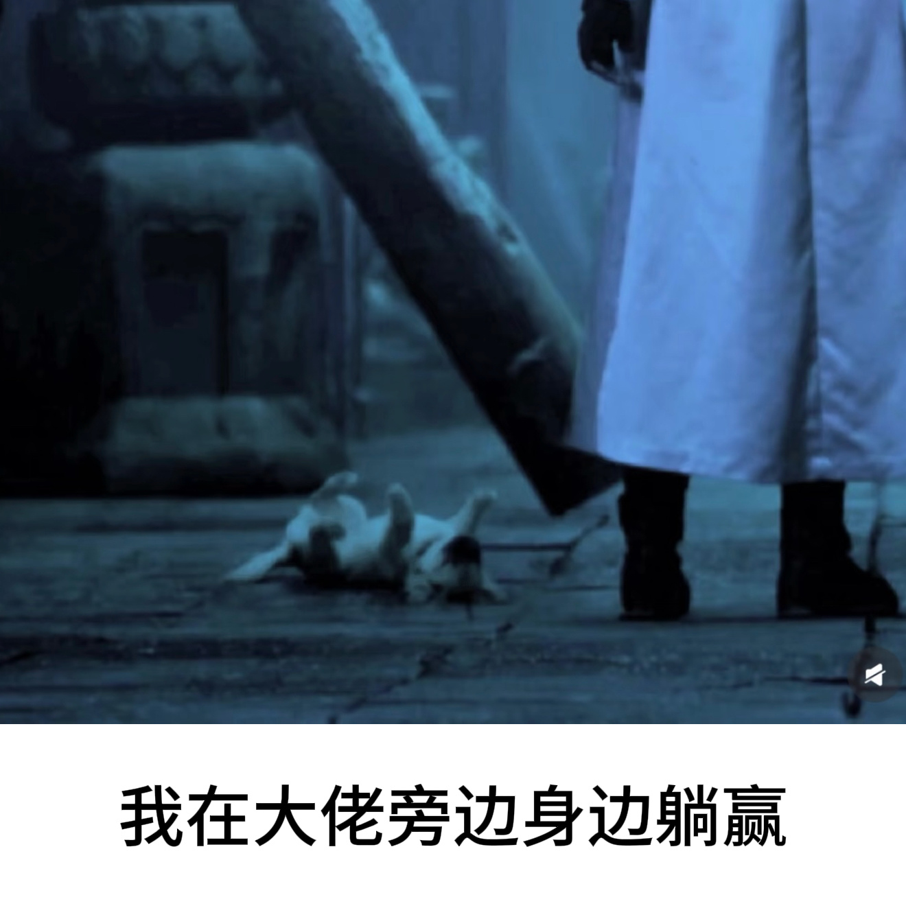 九门meme图我们九门还是太全面了连meme图都以绝对数量取胜😵怎么能每张图都