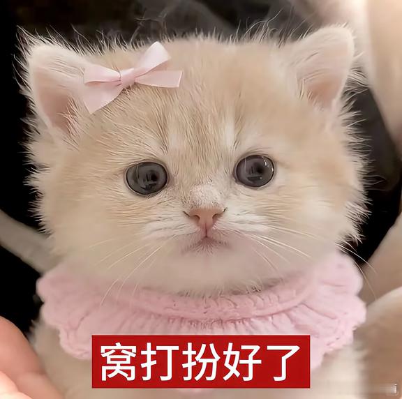 买衣服买上瘾了谁来拦我一下 