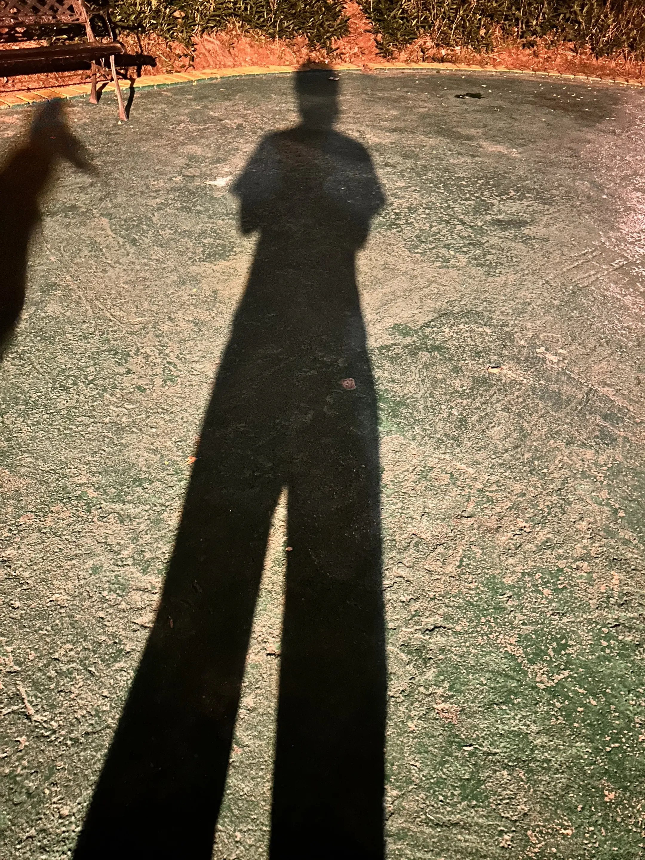 今天就这样吧，还有下一次🥜🥜生命不在于静止