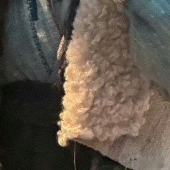 阳光信用阳光信用每日一善 极好 784来互动一起涨吧！想涨ygxy的可以来和我互