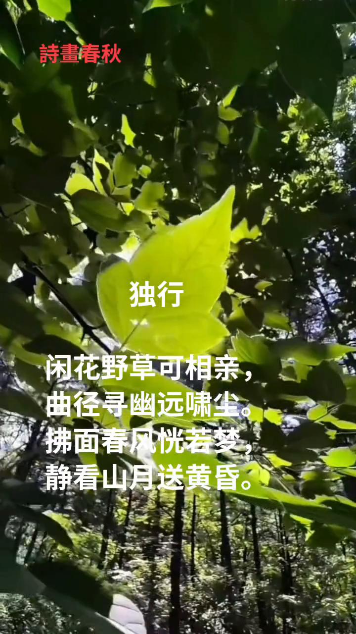 独行。
闲花野草可相亲，曲径寻幽远啸尘。拂面春风恍若梦，静看山月送黄昏。诗画春秋