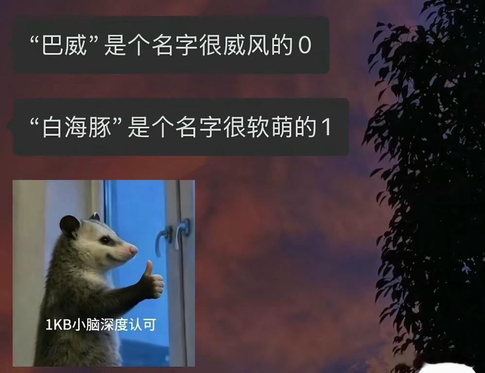 刷到啥就看啥吧