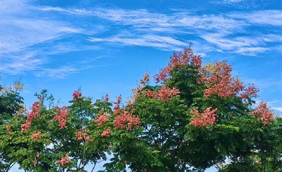 小区里的周姨再婚那天，我们以为她会摆好几桌。没想到，她只摆了一桌酒，请了双方儿女