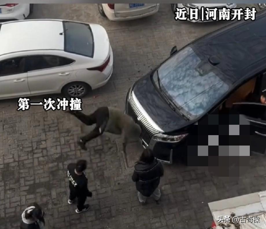 一次……两次……三次……四次……

为了报复对方，男子竟然使用了这么偏激的报复手