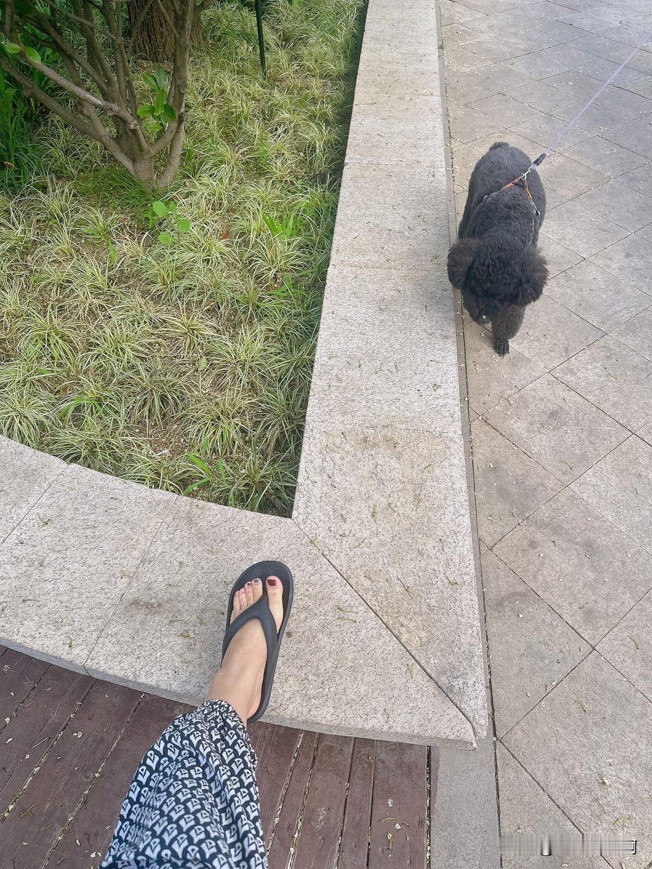 人生主打随性自在，
不内卷不较劲，
怎么开心怎么来。
随性自在的日子 里我在不矫