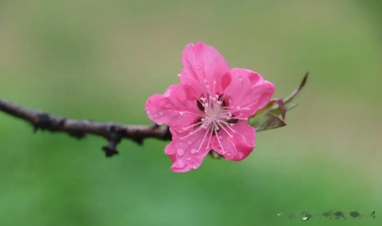 夫妻之间冷淡到无话可说，该怎么办？
在婚姻的长河中，夫妻间的沟通是维系关系的重要