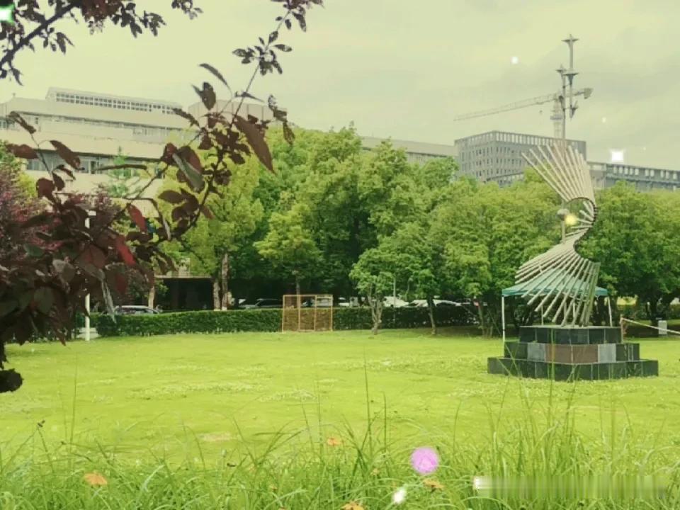 晒图笔记大赛华中科技大学里的风景