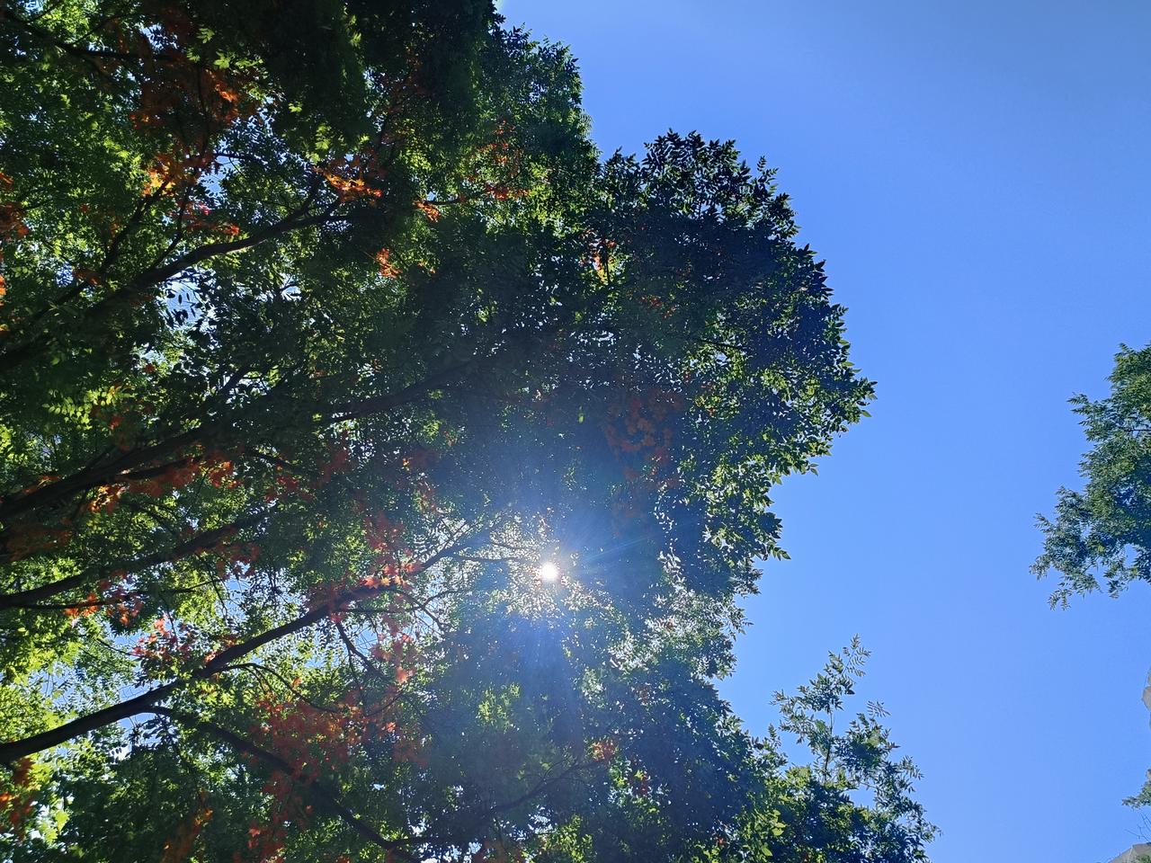 红绿交织间，我看到岁月的更替。
永远不变是是太阳高悬，俯视沧海桑田，人间百态。