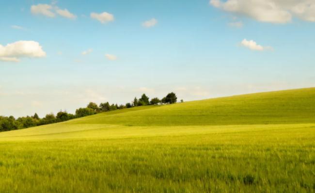 【03.30修身心语】
您好！
“福气脸”有三个特征，有一个就很了不起：慈眉善目