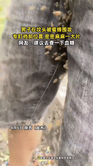 解释不清了，陕西，一男子清明节去上坟，突然，一群蜜蜂飞来围攻他。没想到，专盯他裆