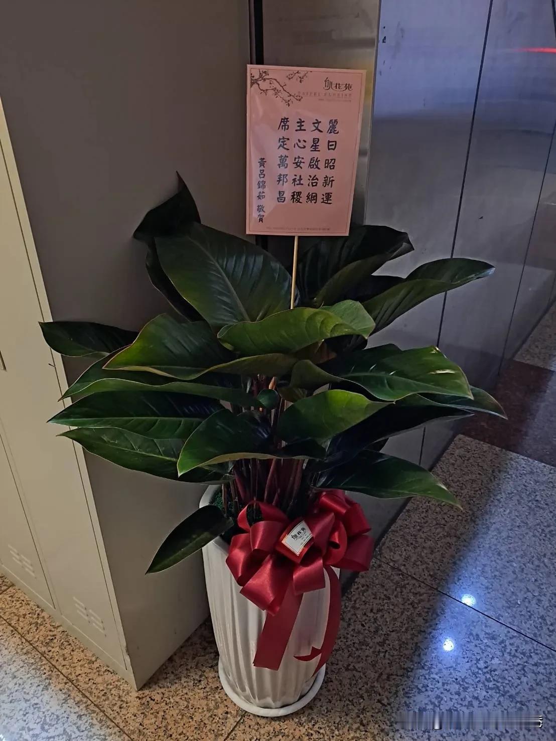 国民党4大诸侯现任市长全部不出席！郑丽文明全代会就任党主席，新北、台中、桃园市长