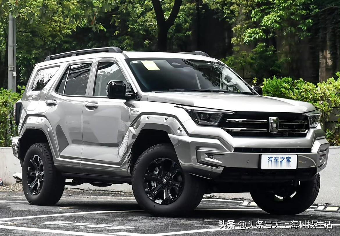 目前在开一辆老哈弗H2，当年的入门车，挺小一台。现在看到满大街新能源车，我想尝试