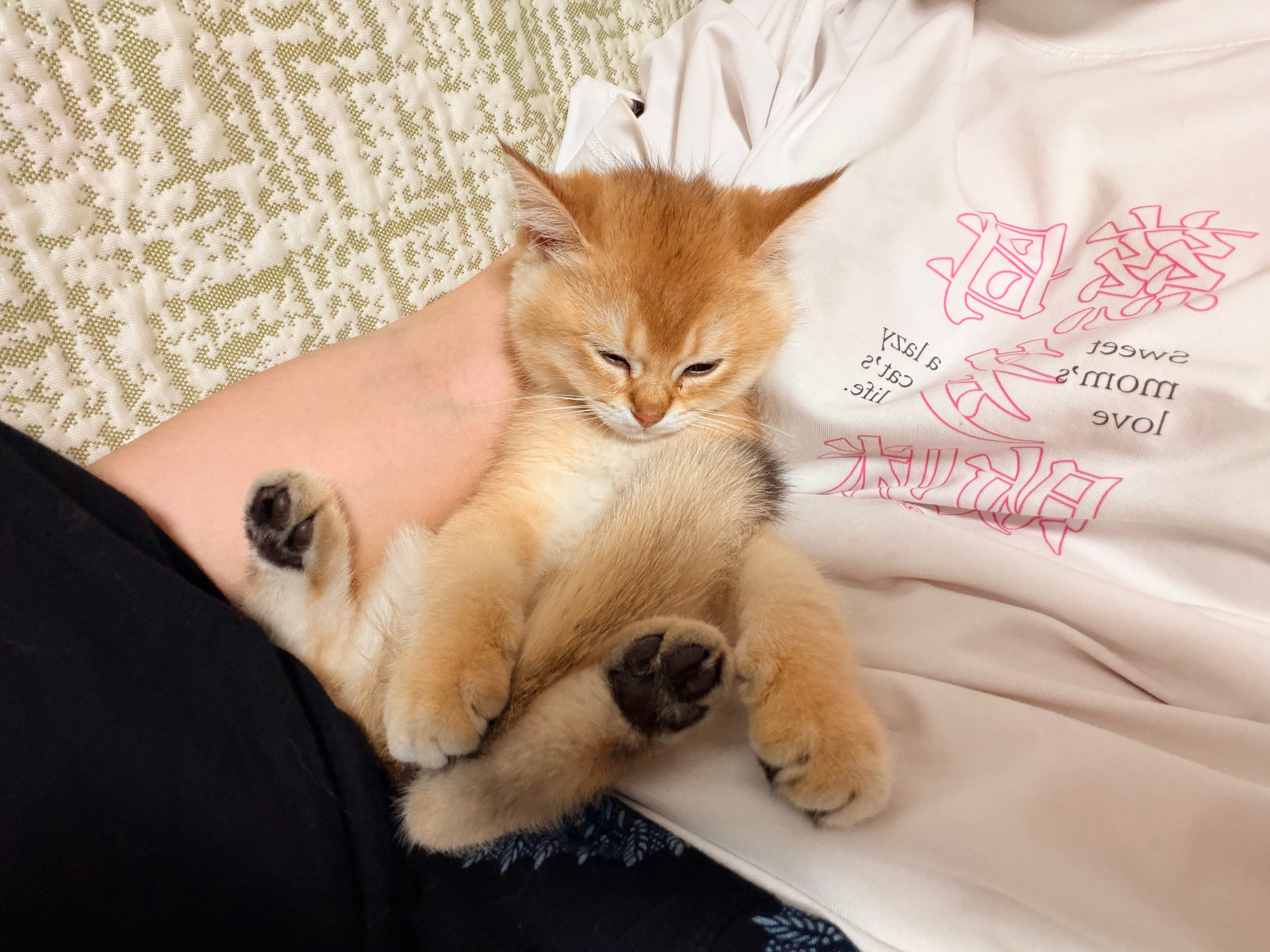 打扰我追剧 