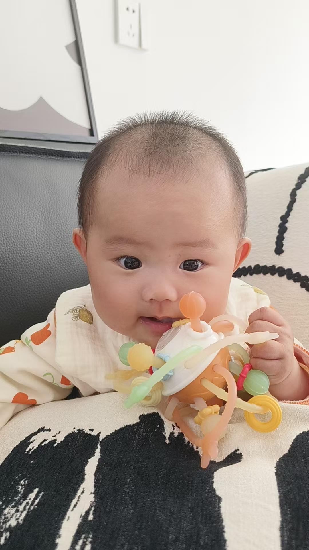 不知是要长牙还是咋的，天天啃这啃那的，基本不停歇，除了睡觉！