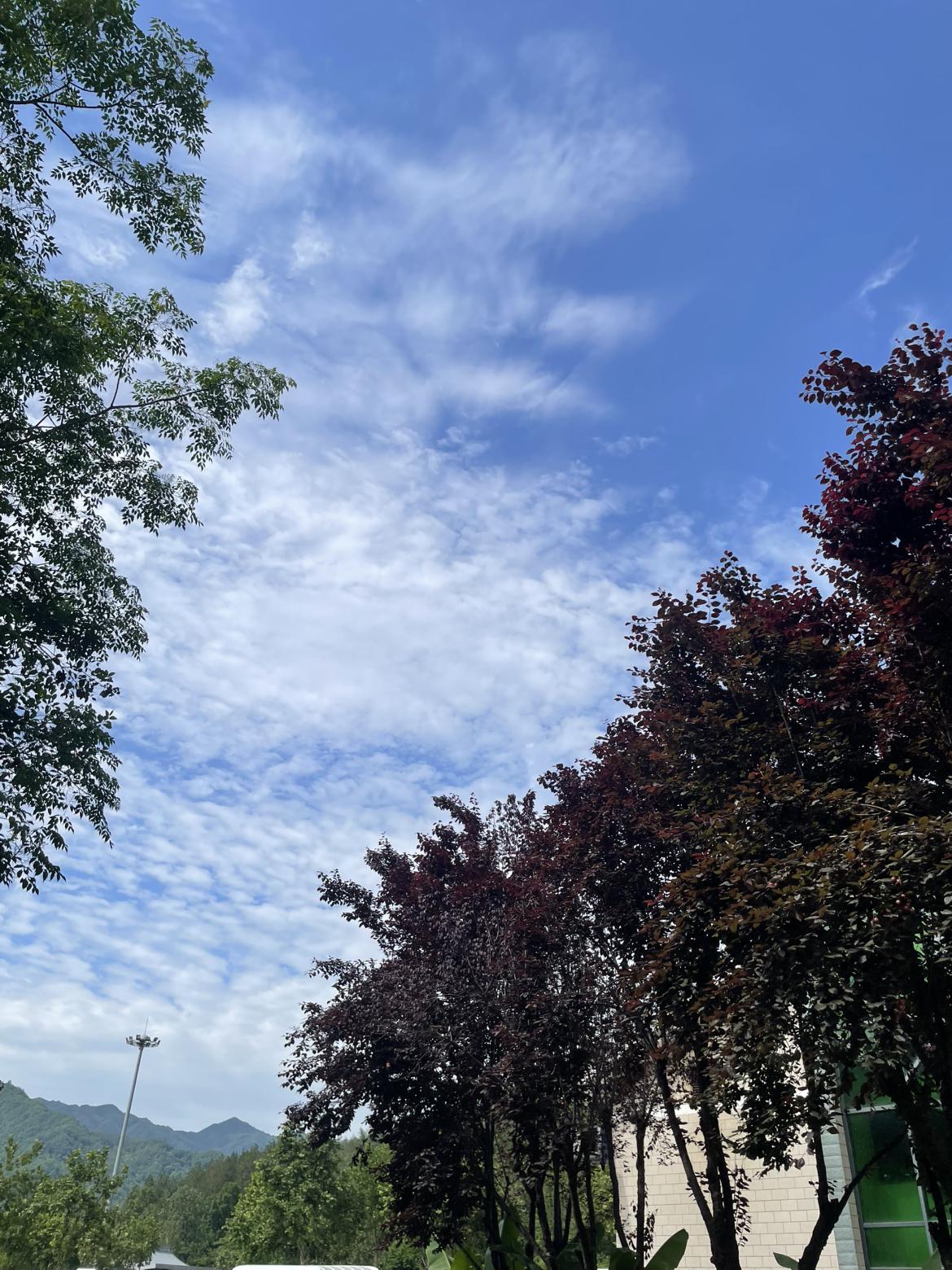 我的今日状态：😁轻松愉快
我这里的天气：☀️晴天
大晴天，太阳高照，夏天的感觉