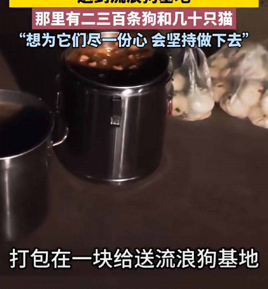 “我们不卖隔夜的东西！”一餐饮店老板将每日的剩饭剩菜送往流浪狗基地，利益的背后是