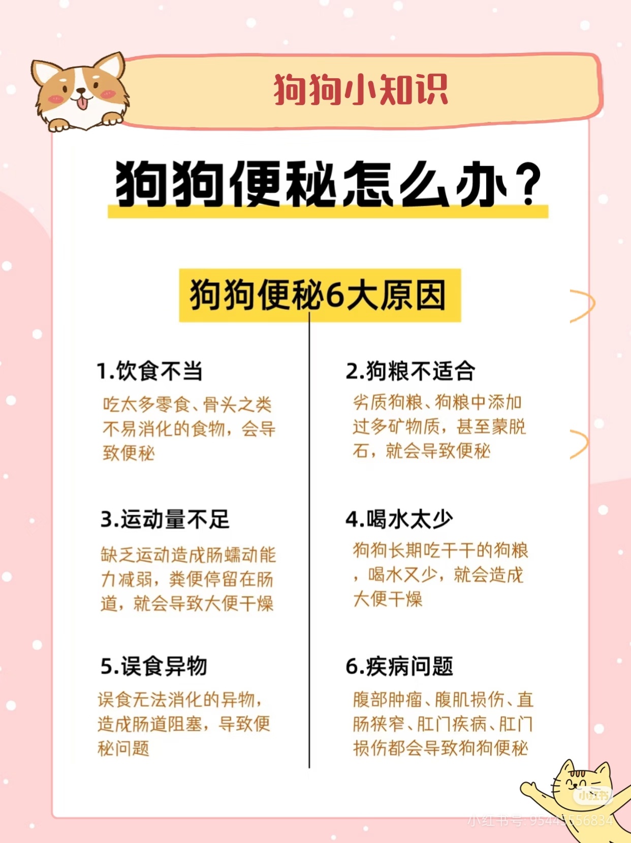 狗狗便秘了，每天拉一点点怎么办？ 