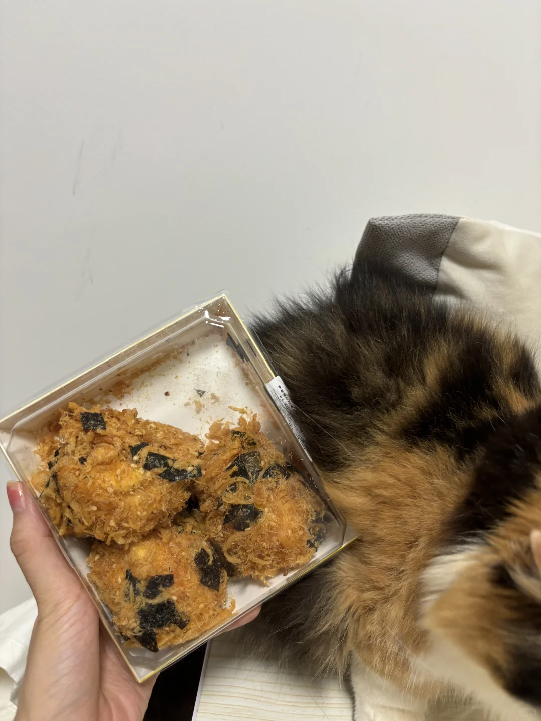 我说这肉松小贝怎么有点眼熟呢🧁