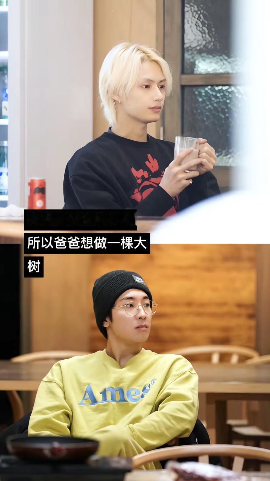 妈是活泼的小鸟 所以爸想做一棵大树睡前，我有时会缠着爸爸妈妈给我讲些他们的爱情故