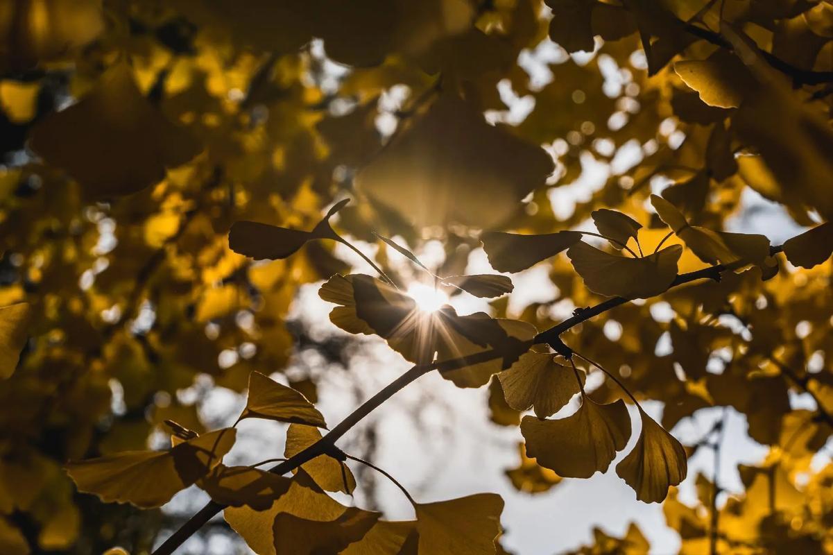 什么是一个人一生最大的福报?

以自己喜欢的工作谋生，是对一个人最大的福报。

