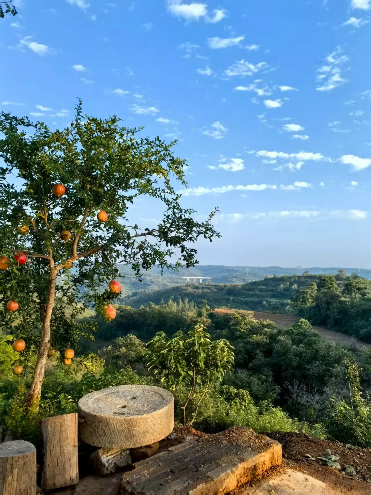 黄河岸边是家乡。正是金秋好风景，黄河岸边水清清。