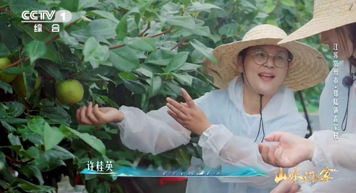 哪个梨更甜看底部果农手一掂就知梨重9两2 中国人的“功夫”藏在生活里！果农一掂便