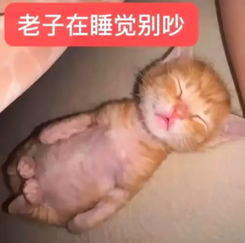 我去！大飒比！ 