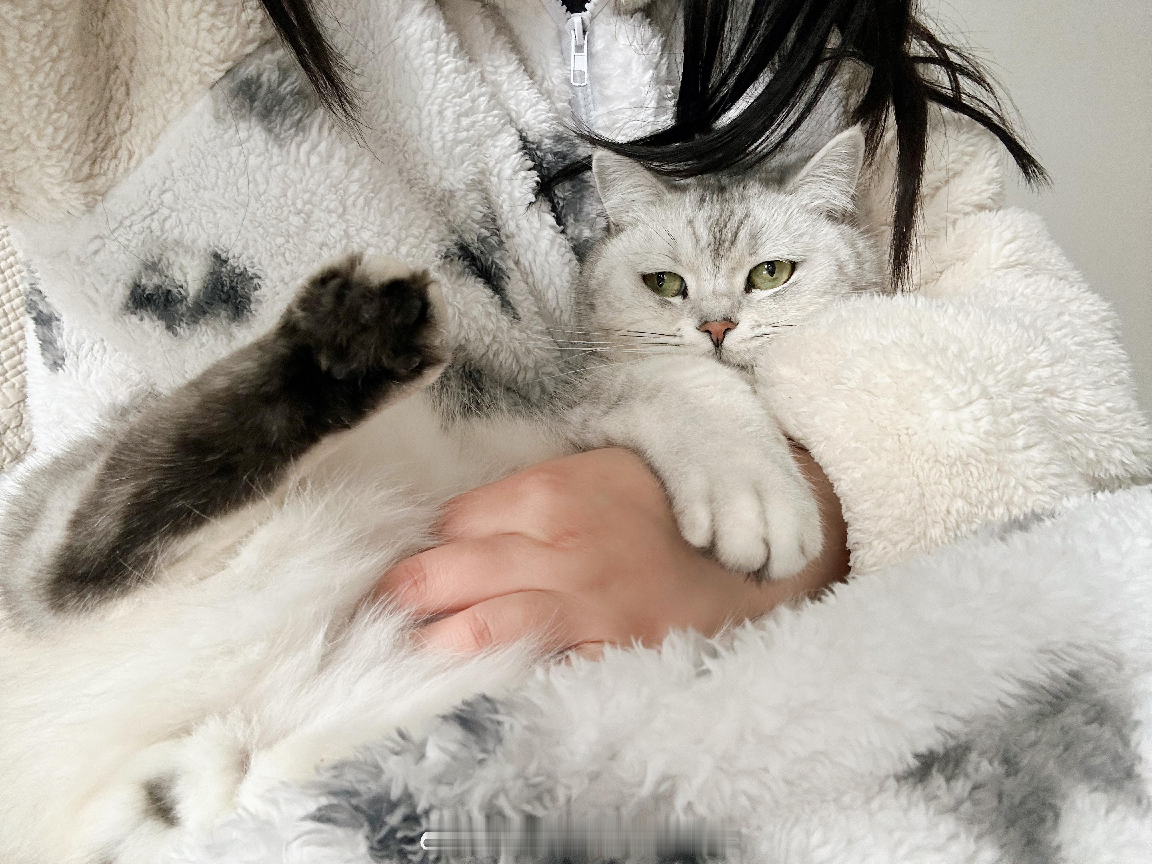 夜深了 年糕又在我妈床上睡着 👧🏻“猫你一天我一天” 👩🏻“得了吧 等下