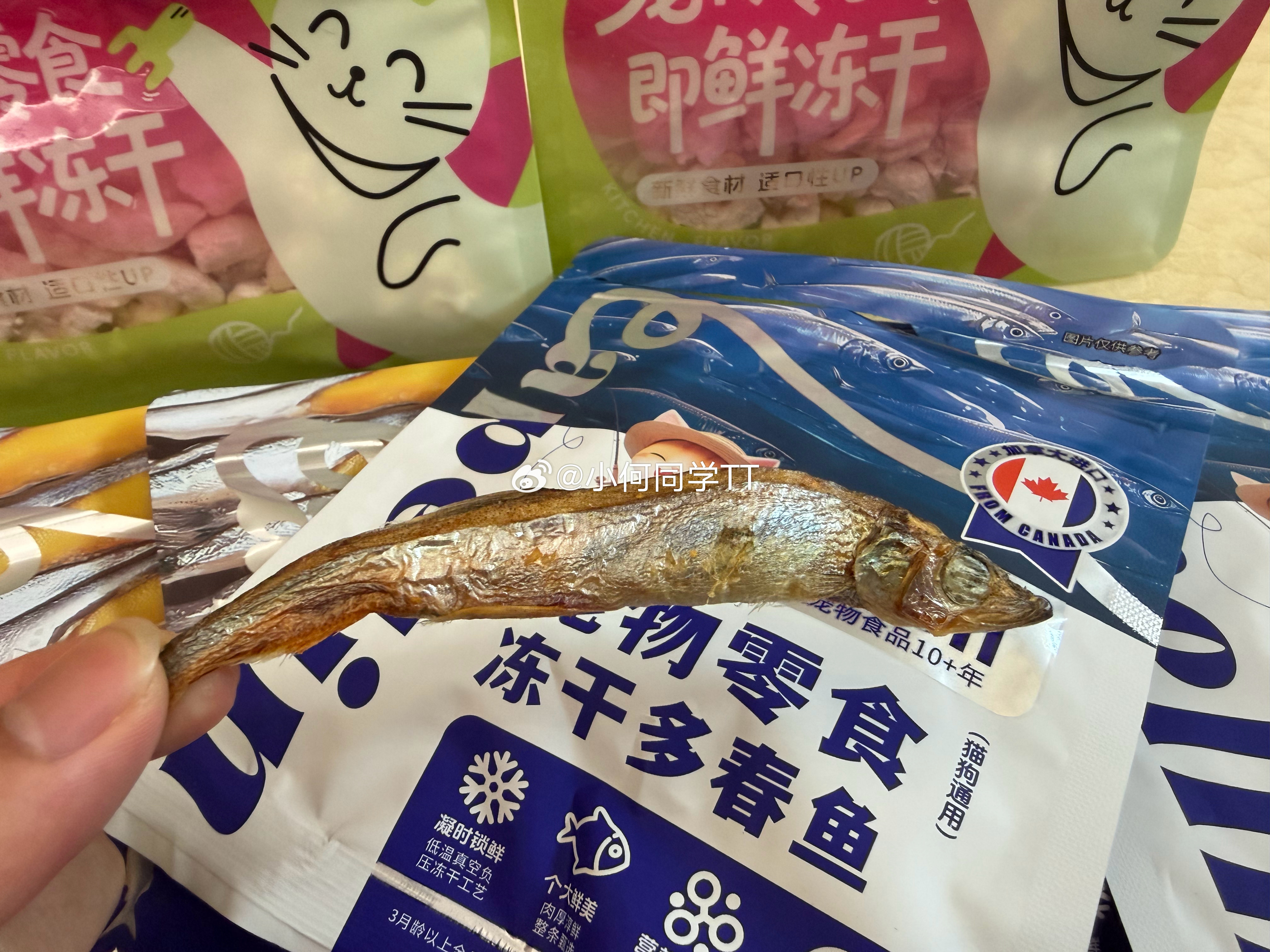 准备喂冰糖，吃一条多春鱼干然后我说也可以泡水里然后她说：“是不是就能活了[允悲]