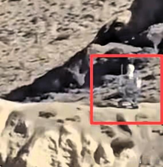 近日，印度网友在中印边境拍到的一幕引发热议——中国实际控制线一侧，一台轮式机器人