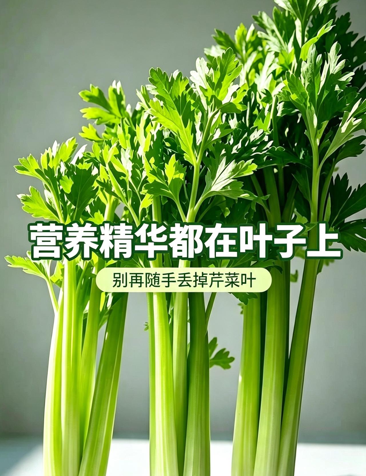别再丢掉芹菜叶！对比营养成分，它的价值远超芹菜梗

平时收拾芹菜，绝大多数人都会