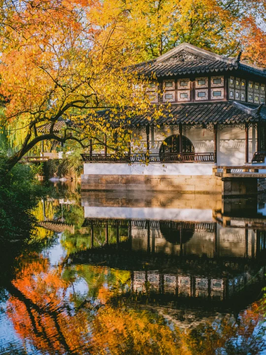 我开始期待苏州秋天的橙黄橘绿了🍂🍂