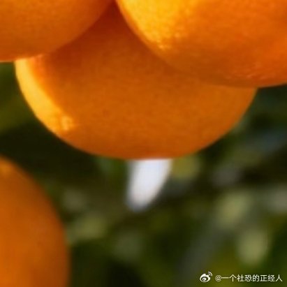 微公益种植橘子的发芽和种植技巧橘子的发芽和种植需要一定的耐心和技巧，以下是一些详