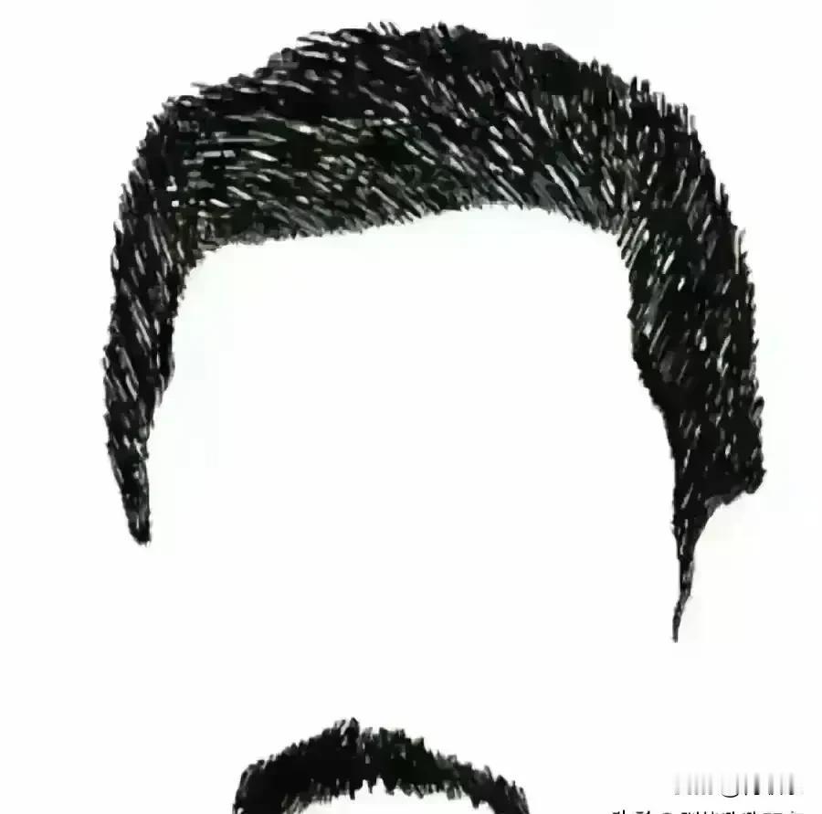 用一句话形容下面照片的伟大事迹