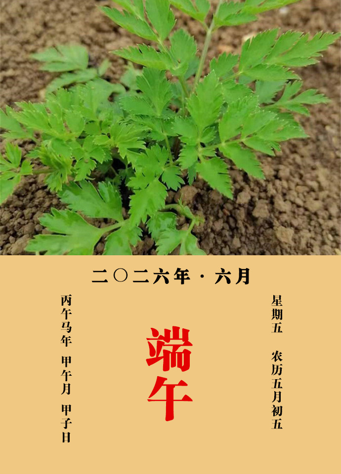每天一味中草药 倪朱谟说：靡芜，主头风风眩之药也，此药气味芳香清洁，故去风散湿，