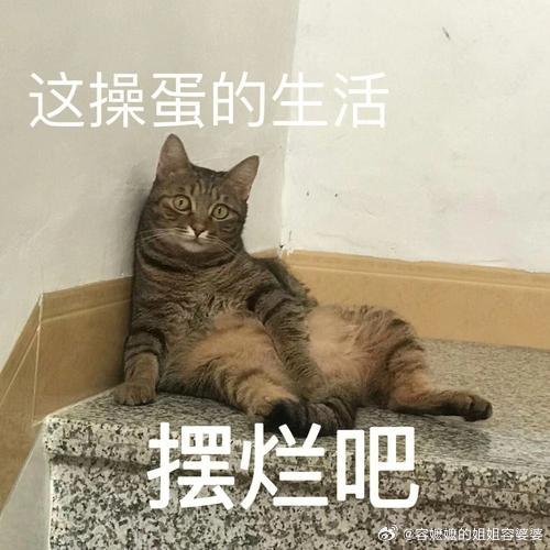 中国学生开始卷海外考公了是，国外考公没年龄歧视 