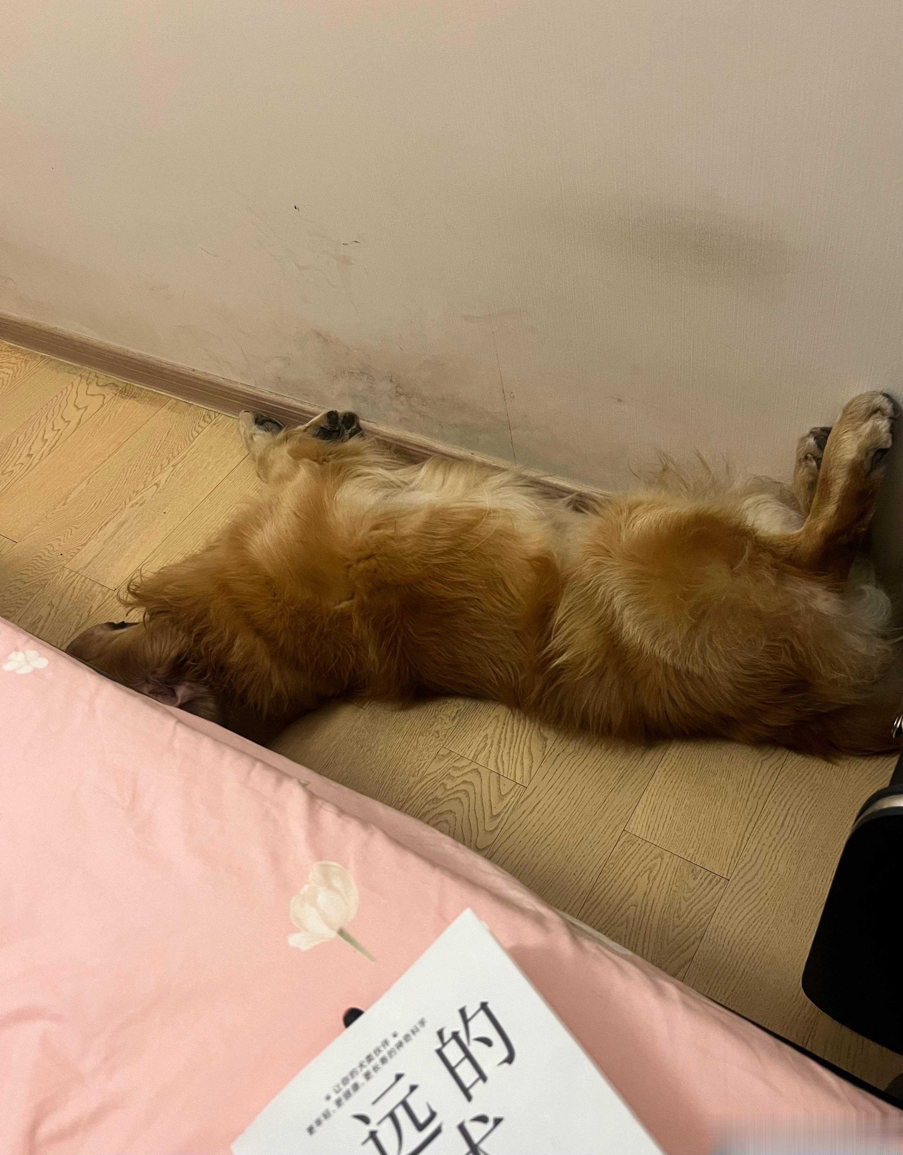 安啦[爱你] ​​​